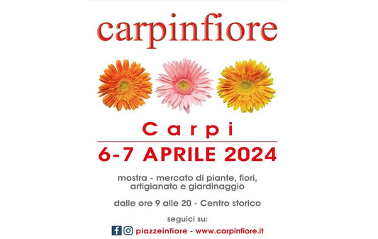 CARPI IN FIORE 1-2/04