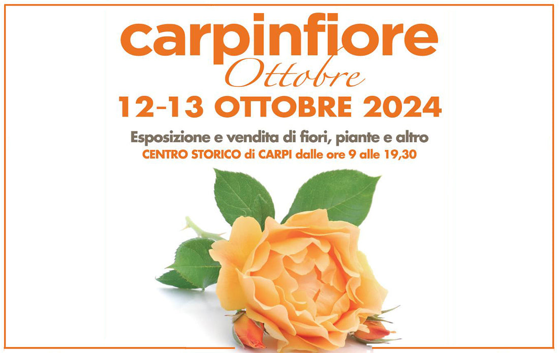 CARPI IN FIORE ottobre 12-13